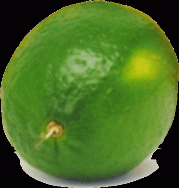 Limettensirup